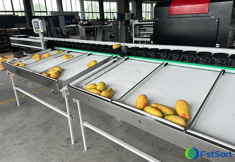 images/1714983369100mango sorting grading machine.jpg